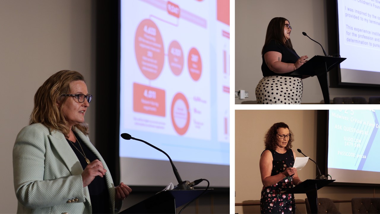 NMBI speaking at the ONMSD and NWHIP annual national conference