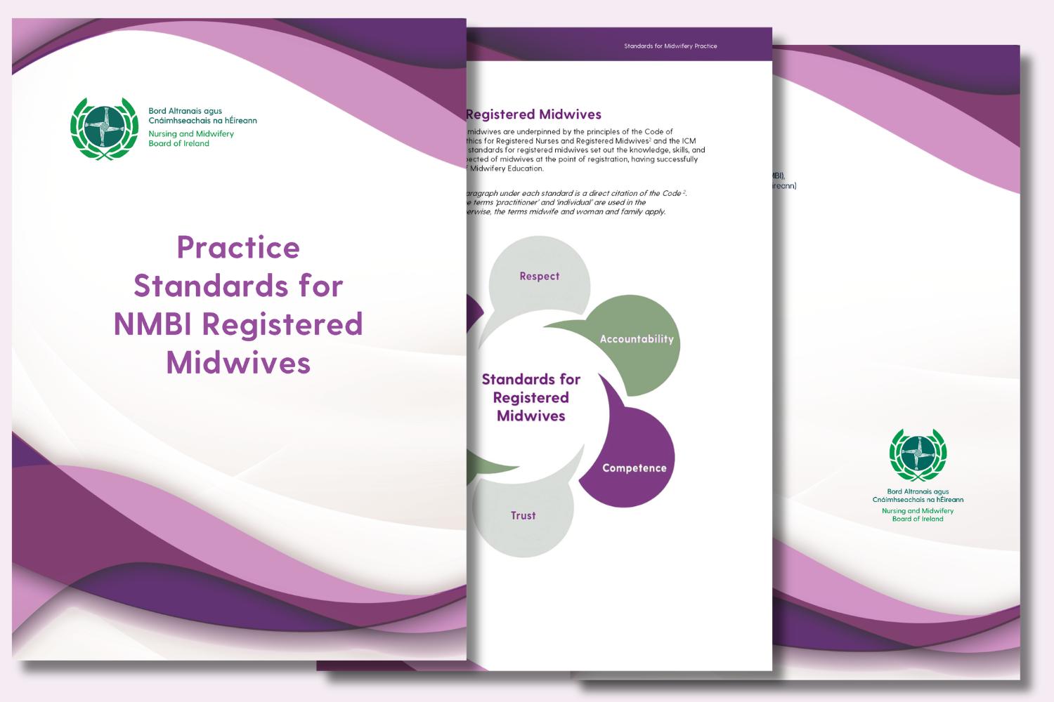 Practice Standards for NMBI Registered Midwives