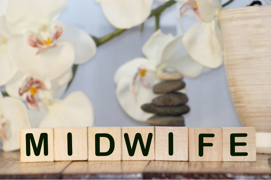 Public Consultation on Draft Midwife Registration Programme Standards for Undergraduate Students
