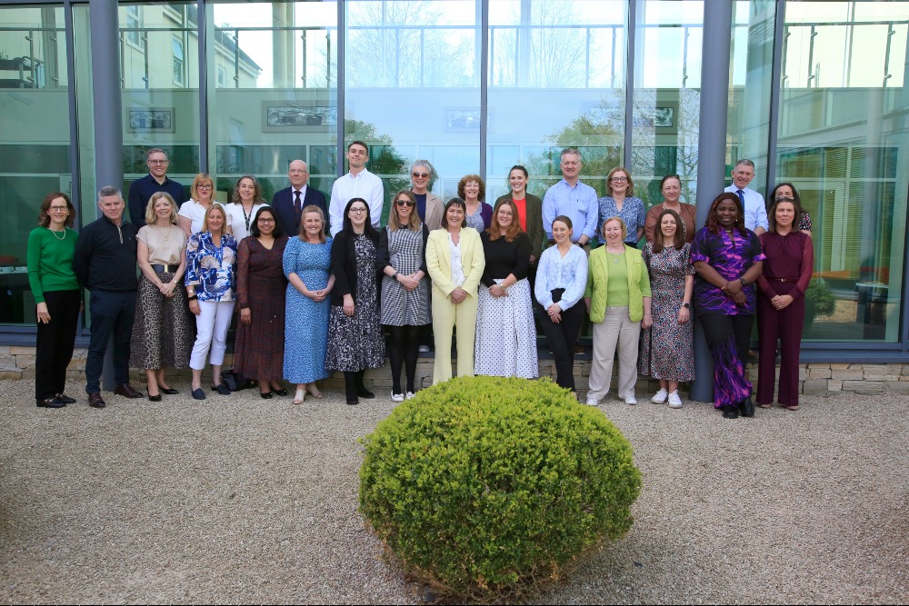 First Regional Consultation Session on NMBI's Upcoming Strategy