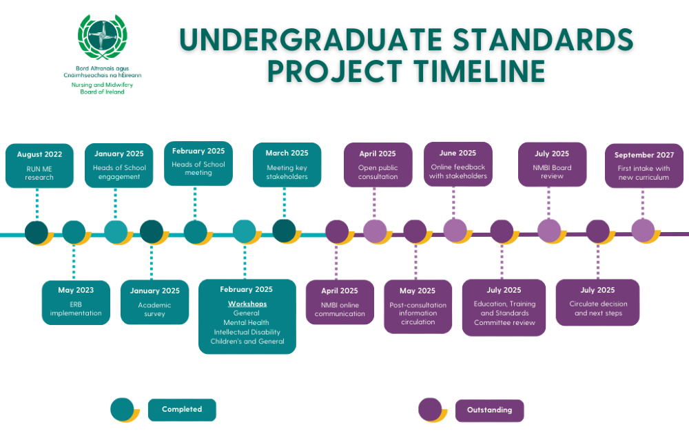 Undergraduate Standards Project Timeline