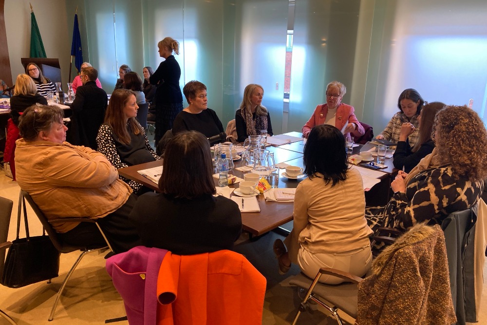 Focussed consultation workshops on the Draft Nurse Registration Programme Standards