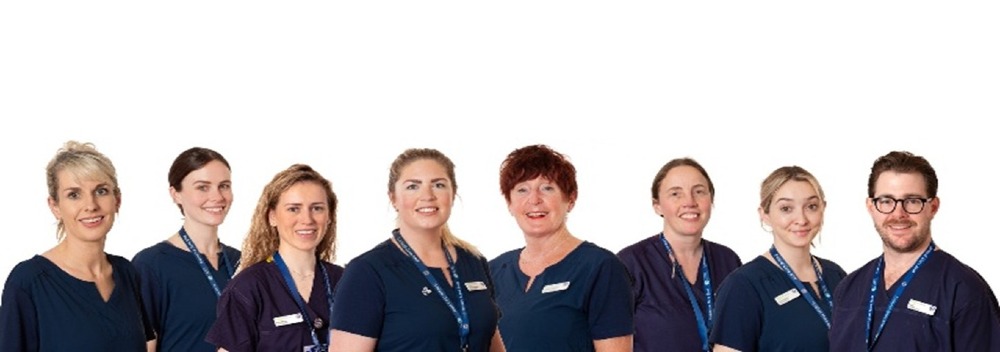 The Critical Care ANP Team, St James’s Hospital, Dublin 