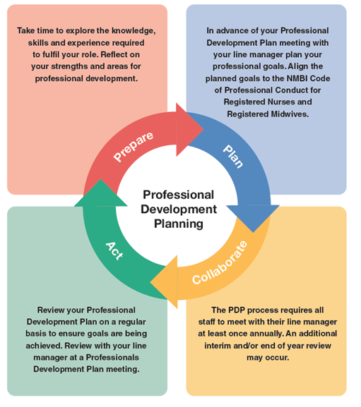 Professional Development Planning Framework
