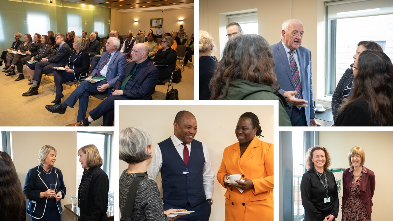 Attendees at the strategy launch